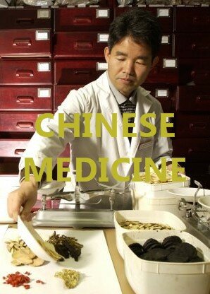 Elements of Traditional Chinese Medicine 