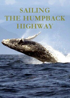 Sailing the Humpback Highway 