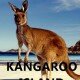 Kangaroo-island