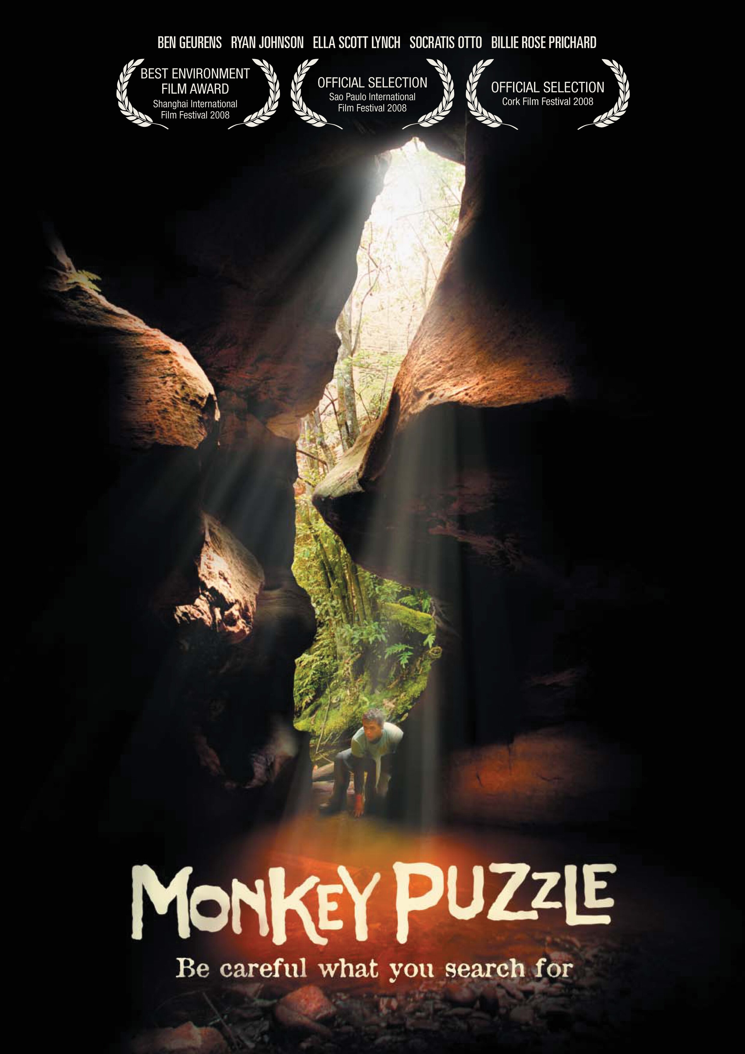 Monkey Puzzle 