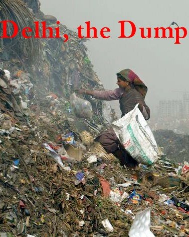 Delhi Dump 