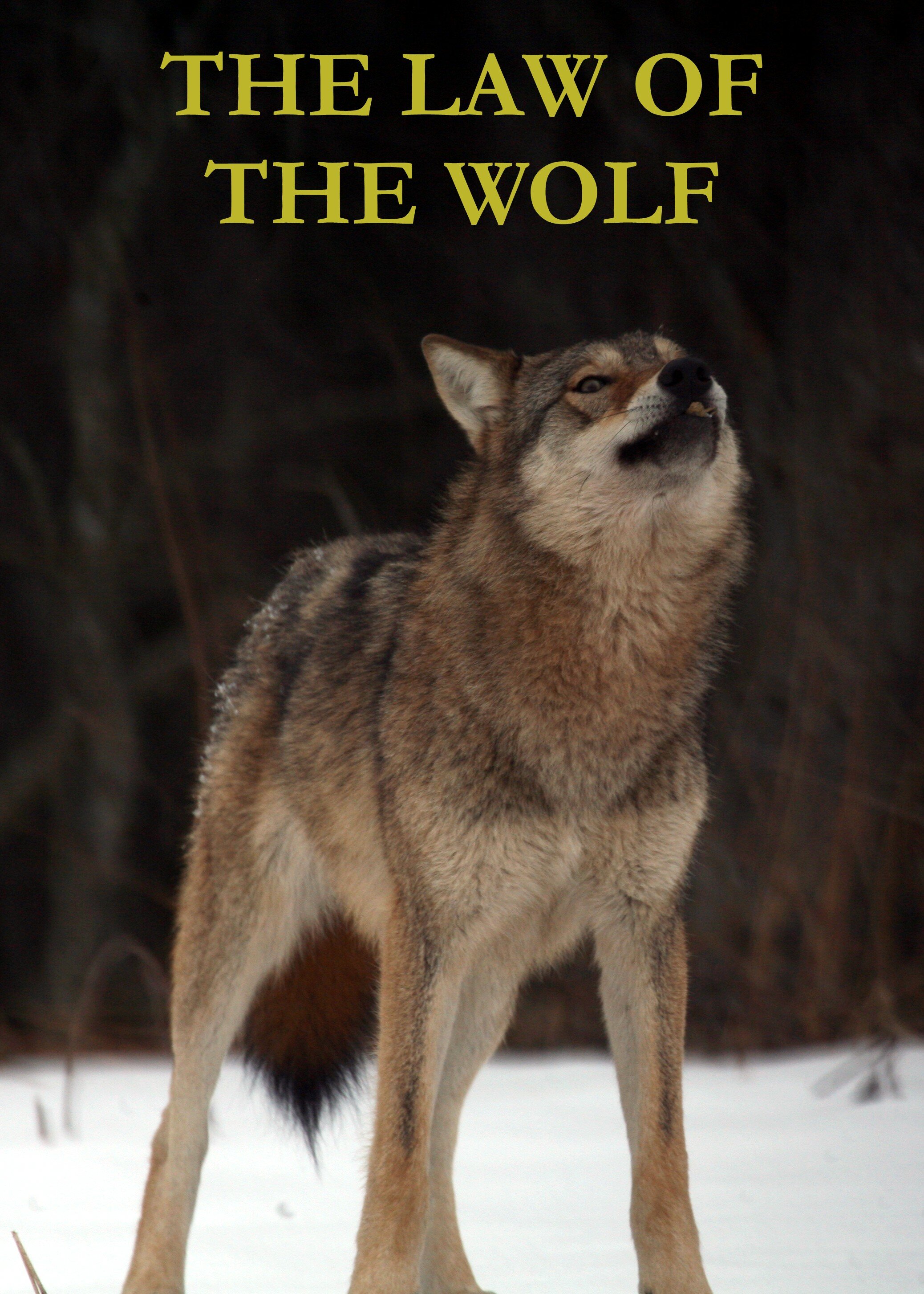 The Law of the Wolf 