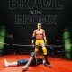 Brawl in the Bronx_Poster
