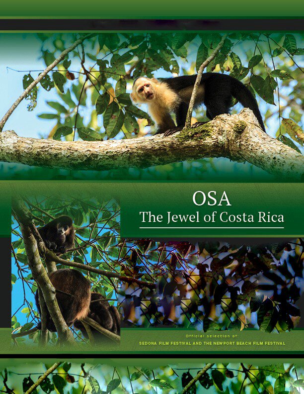 Osa, The Jewel of Costa Rica 